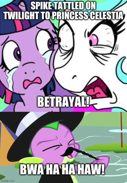 evil spike | SPIKE TATTLED ON TWILIGHT TO PRINCESS CELESTIA; BETRAYAL! BWA HA HA HAW! | image tagged in memes | made w/ Imgflip meme maker