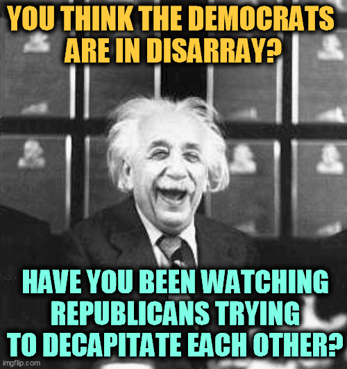 YOU THINK THE DEMOCRATS 
ARE IN DISARRAY? HAVE YOU BEEN WATCHING REPUBLICANS TRYING TO DECAPITATE EACH OTHER? | image tagged in republicans,fight,gop | made w/ Imgflip meme maker