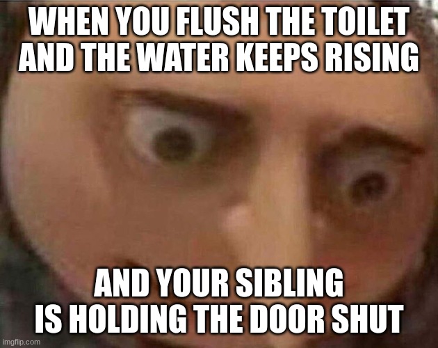 gru meme | WHEN YOU FLUSH THE TOILET AND THE WATER KEEPS RISING; AND YOUR SIBLING IS HOLDING THE DOOR SHUT | image tagged in gru meme | made w/ Imgflip meme maker