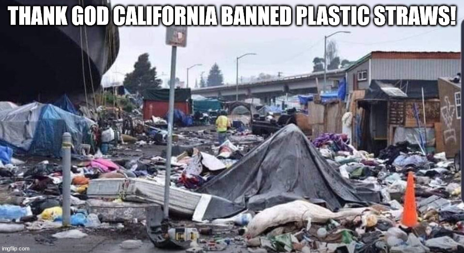 Shithole | THANK GOD CALIFORNIA BANNED PLASTIC STRAWS! | image tagged in stupid liberals | made w/ Imgflip meme maker