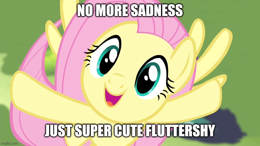 Very Happy Fluttershy (MLP) | NO MORE SADNESS; JUST SUPER CUTE FLUTTERSHY | image tagged in very happy fluttershy mlp | made w/ Imgflip meme maker