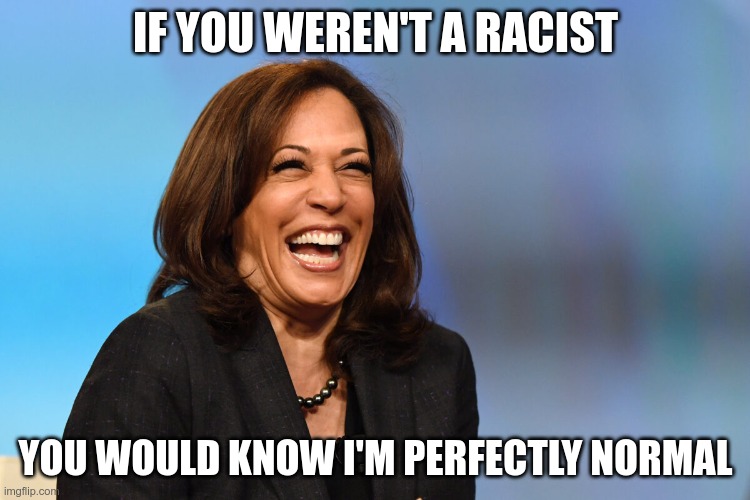 Go Left | IF YOU WEREN'T A RACIST; YOU WOULD KNOW I'M PERFECTLY NORMAL | image tagged in kamala harris laughing,this is how we do it | made w/ Imgflip meme maker