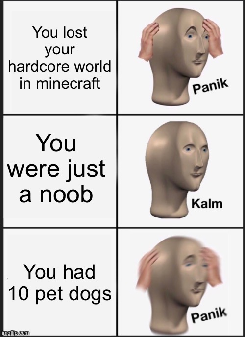 Hardcore lost | You lost your hardcore world in minecraft; You were just a noob; You had 10 pet dogs | image tagged in memes,panik kalm panik | made w/ Imgflip meme maker