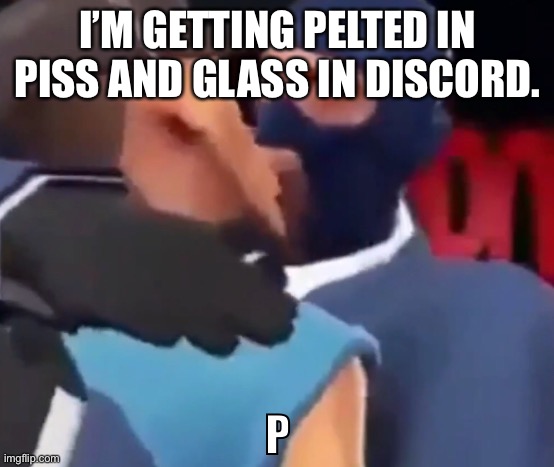 The p | I’M GETTING PELTED IN PISS AND GLASS IN DISCORD. | image tagged in the p | made w/ Imgflip meme maker