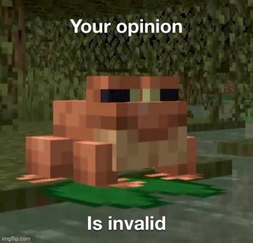 Your opinion Is invalid | image tagged in your opinion is invalid | made w/ Imgflip meme maker