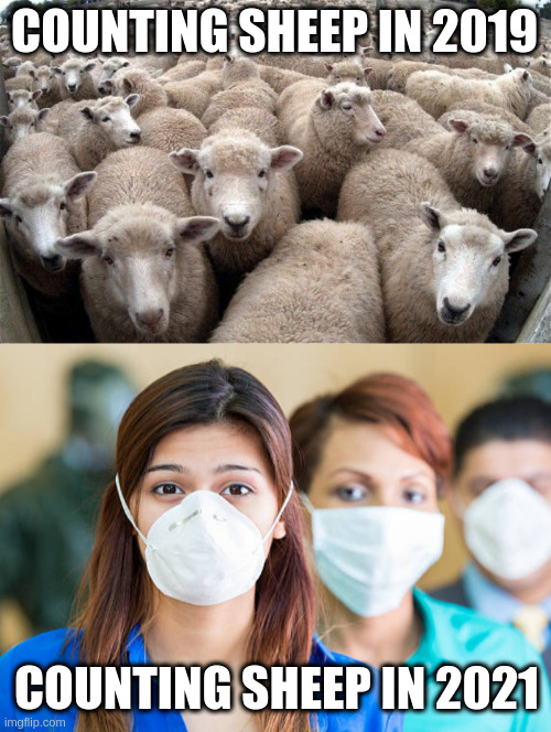 counting sheep | COUNTING SHEEP IN 2019; COUNTING SHEEP IN 2021 | image tagged in sheeple,people wearing flu masks | made w/ Imgflip meme maker