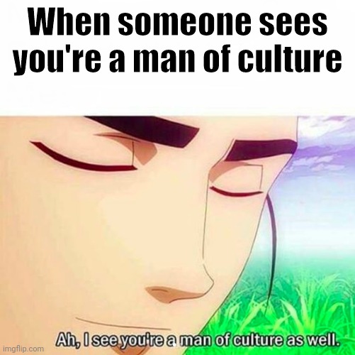 Ah,I see you are a man of culture as well | When someone sees you're a man of culture | image tagged in ah i see you are a man of culture as well | made w/ Imgflip meme maker