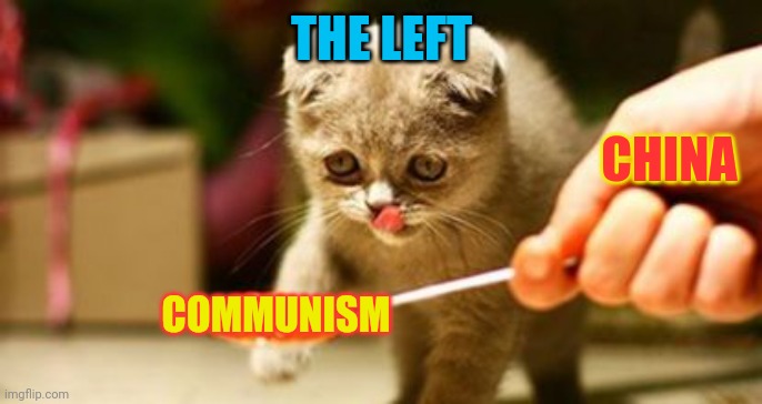 They left love communism like cats love catnip | THE LEFT; CHINA; COMMUNISM | image tagged in china,communism,democrats,traitors | made w/ Imgflip meme maker