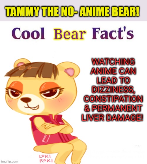 Tammy the no-anime bear | TAMMY THE NO- ANIME BEAR! Bear; WATCHING ANIME CAN LEAD TO DIZZINESS, CONSTIPATION & PERMANENT LIVER DAMAGE! | image tagged in cool facts,tammy,no anime,bear,animal crossing | made w/ Imgflip meme maker