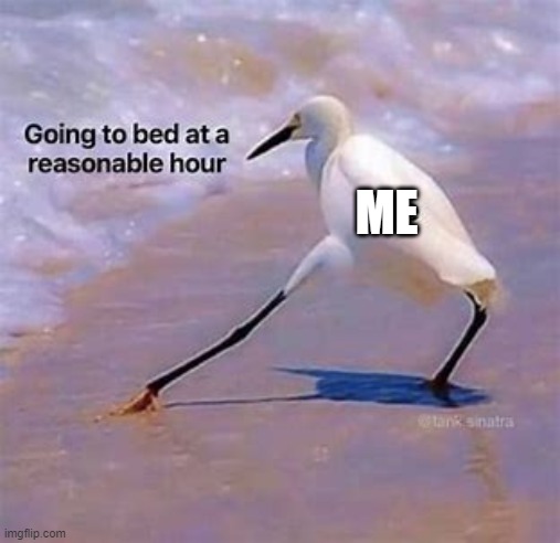 and then i just stay up thinking its fine because i always sleep at like 1 A.M. |  ME | made w/ Imgflip meme maker