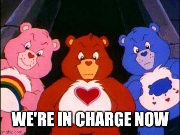 pissed care bears | WE'RE IN CHARGE NOW | image tagged in pissed care bears | made w/ Imgflip meme maker