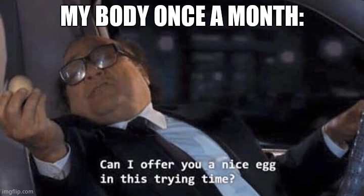 Can I offer you a nice egg in this trying time? | MY BODY ONCE A MONTH: | image tagged in can i offer you a nice egg in this trying time | made w/ Imgflip meme maker