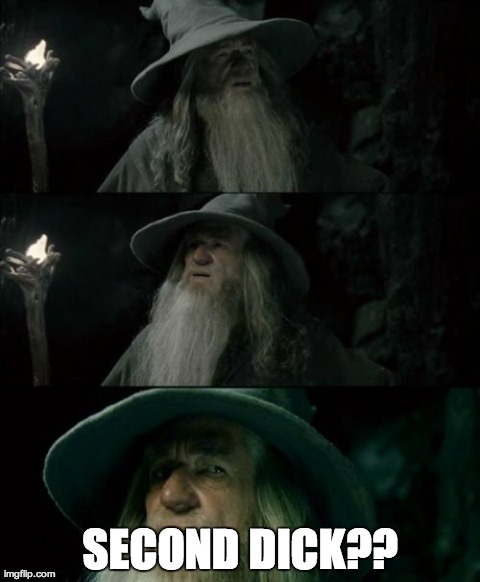 Confused Gandalf | SECOND DICK?? | image tagged in memes,confused gandalf,AdviceAnimals | made w/ Imgflip meme maker