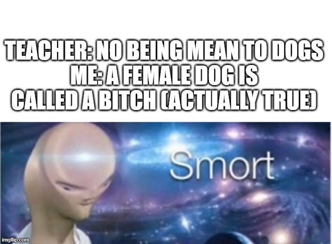 actually | TEACHER: NO BEING MEAN TO DOGS
ME: A FEMALE DOG IS CALLED A BITCH (ACTUALLY TRUE) | image tagged in meme man smort,memes,lol | made w/ Imgflip meme maker