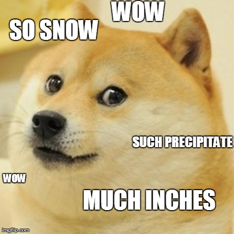 Doge | WOW SUCH PRECIPITATE SO SNOW MUCH INCHES WOW | image tagged in memes,doge | made w/ Imgflip meme maker