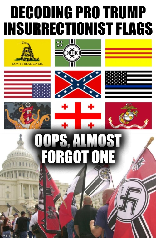 alternative facts, alternative flags | DECODING PRO TRUMP
INSURRECTIONIST FLAGS; OOPS, ALMOST
FORGOT ONE | image tagged in pro trump white nationalist flags,white nationalism,conservative hypocrisy,repubicans,memes,qanon | made w/ Imgflip meme maker