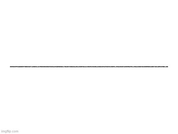 Blank White Template | STOP#SHIPPING#ME#WITH#SKIONSTA#IN#REAL#LIFE#NONSENSE#HUMOR#AND#SHE#IS#DATING#BUT#IS#NO#A#REASON#FOR#A#LOT#OF#CRINGE#AND#I#GOING#TO#INVADE#POLAND#AND#I#TAKEOVER#FINLAND#AND#I#CHANGE#THE#NAME#TO#BAD#PIGGIES#LAND | image tagged in blank white template | made w/ Imgflip meme maker