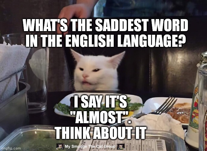 WHAT'S THE SADDEST WORD IN THE ENGLISH LANGUAGE? I SAY IT'S "ALMOST". THINK ABOUT IT | image tagged in smudge the cat | made w/ Imgflip meme maker