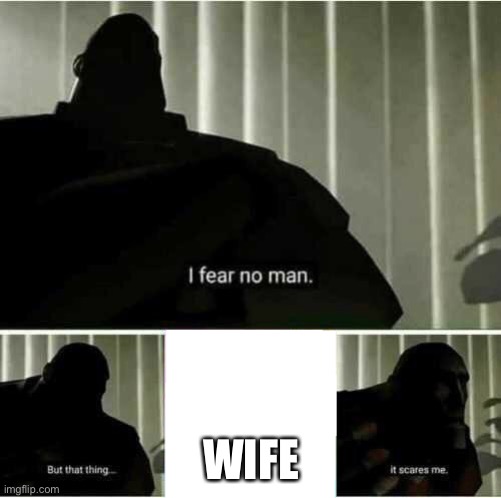 Scary wife, scarred for life | WIFE | image tagged in i fear no man,wife,scared,husband wife | made w/ Imgflip meme maker
