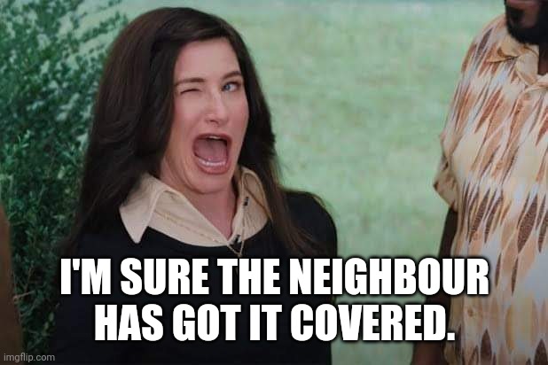WandaVision Agnes wink | I'M SURE THE NEIGHBOUR HAS GOT IT COVERED. | image tagged in wandavision agnes wink | made w/ Imgflip meme maker