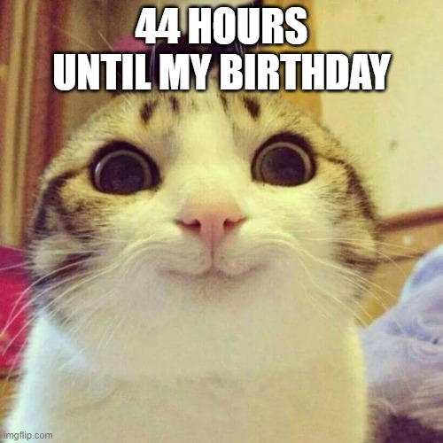 :D | 44 HOURS
UNTIL MY BIRTHDAY | image tagged in memes,smiling cat,birthday,happy birthday,countdown,celebration | made w/ Imgflip meme maker