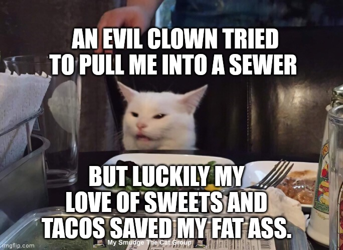 AN EVIL CLOWN TRIED TO PULL ME INTO A SEWER; BUT LUCKILY MY LOVE OF SWEETS AND TACOS SAVED MY FAT ASS. | image tagged in smudge the cat | made w/ Imgflip meme maker