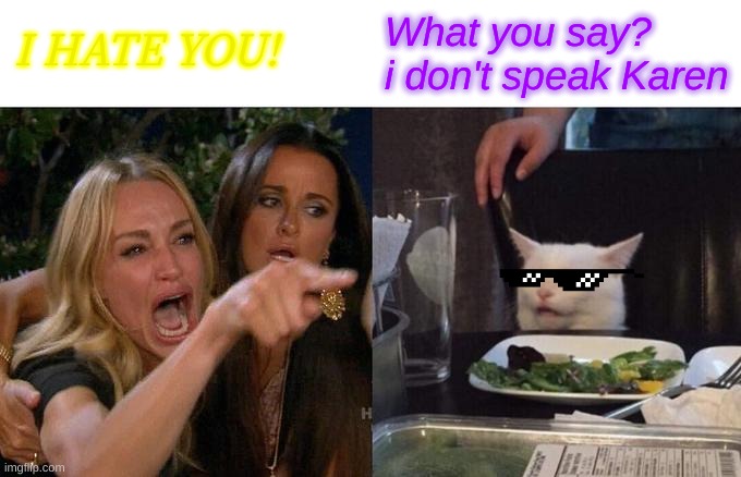 Woman Yelling At Cat | What you say?
i don't speak Karen; I HATE YOU! | image tagged in memes,woman yelling at cat | made w/ Imgflip meme maker