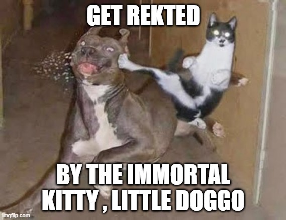 GET REKT | GET REKTED; BY THE IMMORTAL KITTY , LITTLE DOGGO | image tagged in get rekt | made w/ Imgflip meme maker