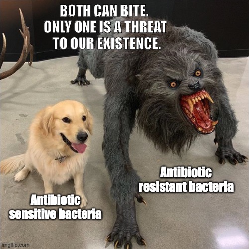 dog vs werewolf | BOTH CAN BITE. 
ONLY ONE IS A THREAT
 TO OUR EXISTENCE. Antibiotic resistant bacteria; Antibiotic sensitive bacteria | image tagged in dog vs werewolf | made w/ Imgflip meme maker