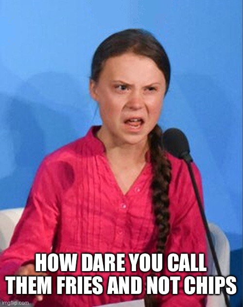 Greta Thunberg how dare you | HOW DARE YOU CALL THEM FRIES AND NOT CHIPS | image tagged in greta thunberg how dare you | made w/ Imgflip meme maker