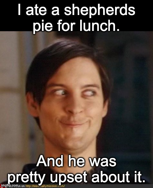 Lunch | I ate a shepherds pie for lunch. And he was pretty upset about it. | image tagged in that look you give your friend | made w/ Imgflip meme maker