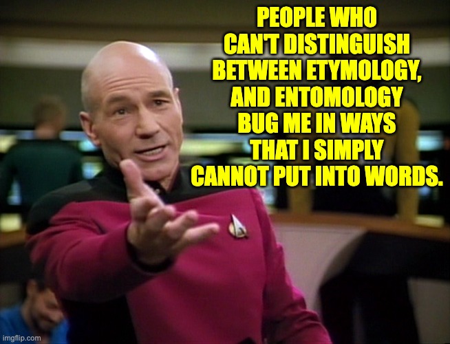 Speechless | PEOPLE WHO CAN'T DISTINGUISH BETWEEN ETYMOLOGY, AND ENTOMOLOGY BUG ME IN WAYS THAT I SIMPLY CANNOT PUT INTO WORDS. | image tagged in captain picard wtf | made w/ Imgflip meme maker