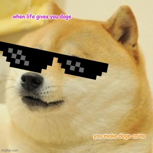 Doge | when life gives you doge; you make doge coins | image tagged in memes,doge | made w/ Imgflip meme maker