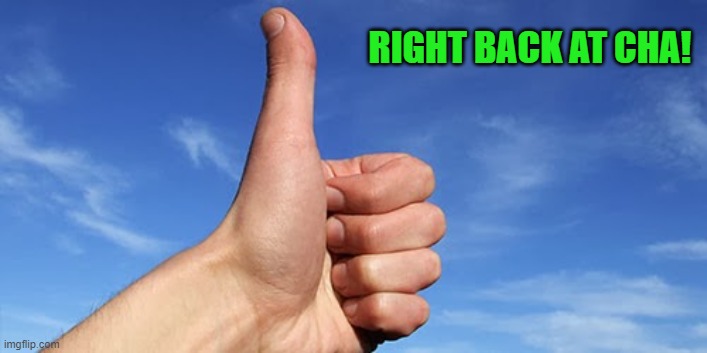 thumbs up | RIGHT BACK AT CHA! | image tagged in thumbs up | made w/ Imgflip meme maker