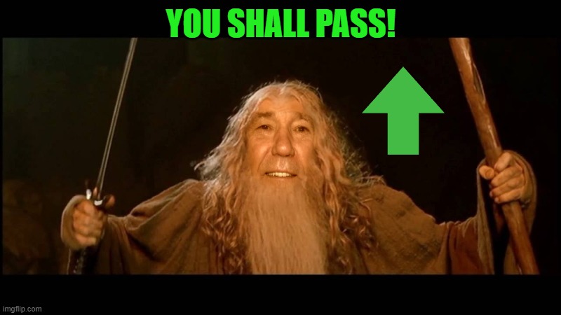 YOU SHALL PASS! | image tagged in you shall pass | made w/ Imgflip meme maker