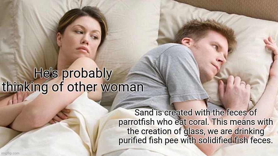 I Bet He's Thinking About Other Women Meme | He's probably thinking of other woman; Sand is created with the feces of parrotfish who eat coral. This means with the creation of glass, we are drinking purified fish pee with solidified fish feces. | image tagged in memes,i bet he's thinking about other women | made w/ Imgflip meme maker