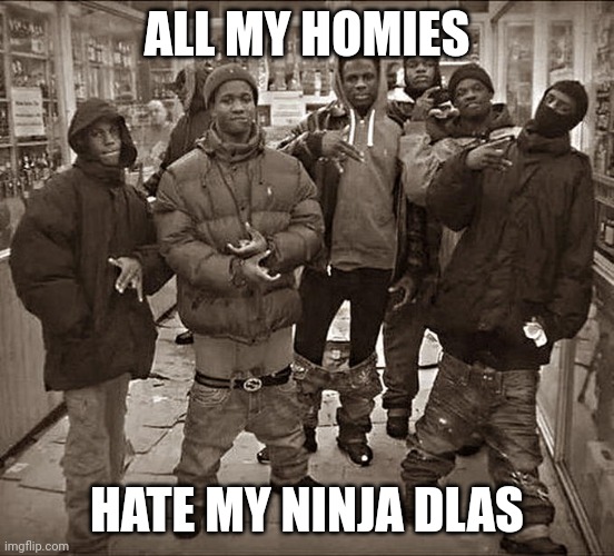 Everytime ;) | ALL MY HOMIES; HATE MY NINJA DLAS | image tagged in all my homies hate | made w/ Imgflip meme maker