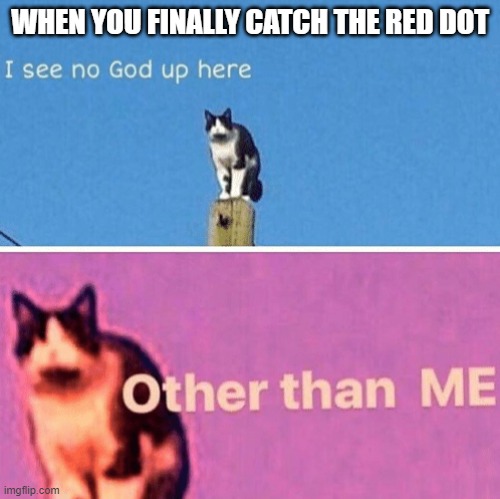 Hail pole cat | WHEN YOU FINALLY CATCH THE RED DOT | image tagged in hail pole cat | made w/ Imgflip meme maker