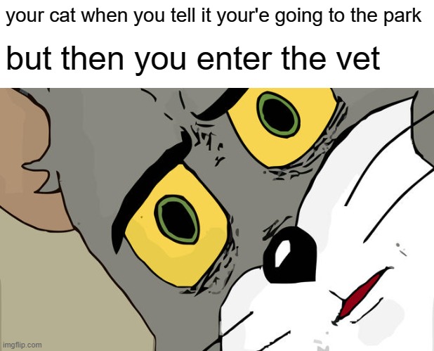 uh oh | your cat when you tell it your'e going to the park; but then you enter the vet | image tagged in memes,unsettled tom | made w/ Imgflip meme maker