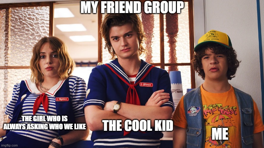 my friend group | MY FRIEND GROUP; ME; THE GIRL WHO IS ALWAYS ASKING WHO WE LIKE; THE COOL KID | image tagged in funny,friends | made w/ Imgflip meme maker