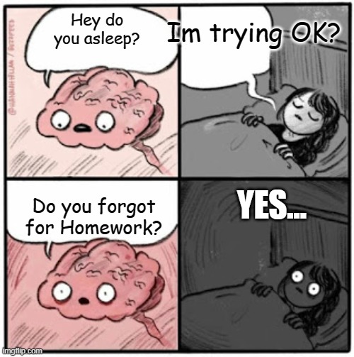 Brain Before Sleep | Im trying OK? Hey do you asleep? YES... Do you forgot for Homework? | image tagged in brain before sleep | made w/ Imgflip meme maker