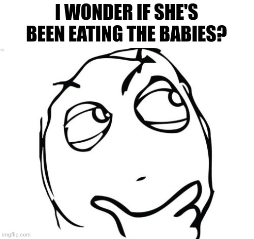 Question Rage Face Meme | I WONDER IF SHE'S BEEN EATING THE BABIES? | image tagged in memes,question rage face | made w/ Imgflip meme maker