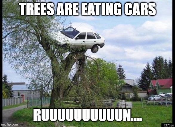 Secure Parking Meme | TREES ARE EATING CARS RUUUUUUUUUUN.... | image tagged in memes,secure parking | made w/ Imgflip meme maker