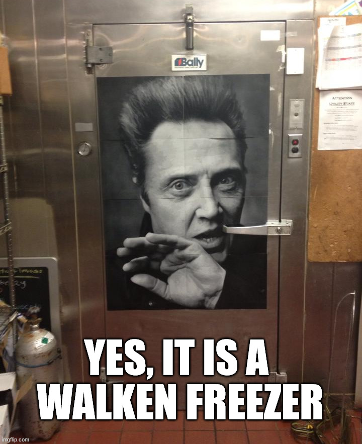 YES, IT IS A 
WALKEN FREEZER | image tagged in eyeroll | made w/ Imgflip meme maker