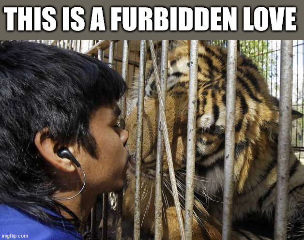 THIS IS A FURBIDDEN LOVE | image tagged in eyeroll | made w/ Imgflip meme maker