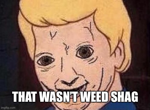 Shaggy this isnt weed fred scooby doo | THAT WASN’T WEED SHAG | image tagged in shaggy this isnt weed fred scooby doo | made w/ Imgflip meme maker
