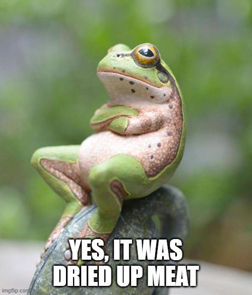 nah frog | YES, IT WAS DRIED UP MEAT | image tagged in nah frog | made w/ Imgflip meme maker