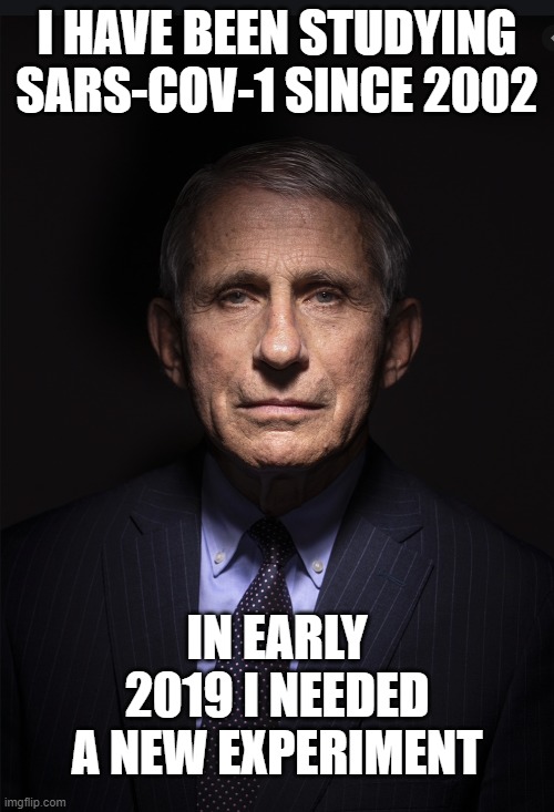 Fauci On The Shelf |  I HAVE BEEN STUDYING SARS-COV-1 SINCE 2002; IN EARLY 2019 I NEEDED A NEW EXPERIMENT | image tagged in fauci,bank account,show your papers,enemy,commie,foward | made w/ Imgflip meme maker