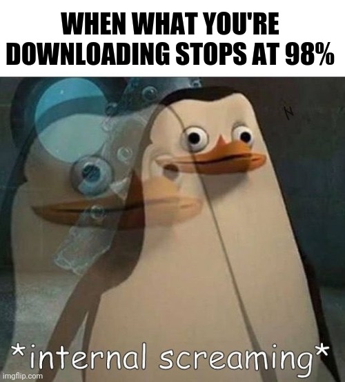Internal Screaming |  WHEN WHAT YOU'RE DOWNLOADING STOPS AT 98% | image tagged in internal screaming,download,downloading,penguin,madagascar,memes | made w/ Imgflip meme maker