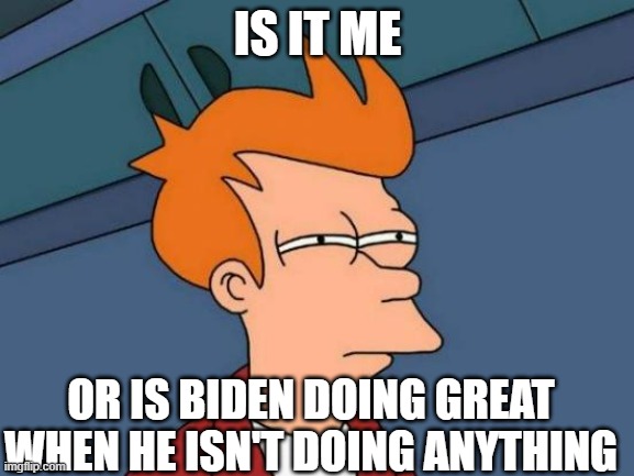 So he can't screw up anything | IS IT ME; OR IS BIDEN DOING GREAT WHEN HE ISN'T DOING ANYTHING | image tagged in memes,futurama fry,biden | made w/ Imgflip meme maker